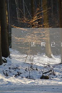 法院已判決的可以再立案嗎(法院判決兩年后能重新立案嗎)
