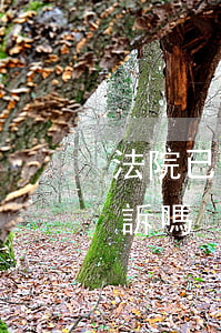 法院已受理起訴狀可以撒銷嗎(撤訴后還能上訴嗎)