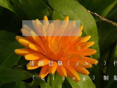 法院已執(zhí)行的案子可以撤訴嗎(強(qiáng)制執(zhí)行的案子原告可以撤訴嗎)