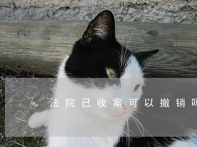 法院已收案可以撤销吗(法院怎么撤销案件)