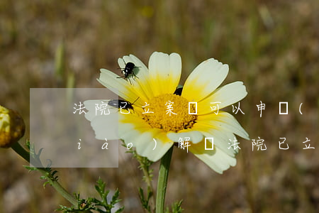 法院已立案還可以申請(qǐng)調(diào)解嗎(法院已立案,當(dāng)事人已調(diào)解,怎樣撤案)