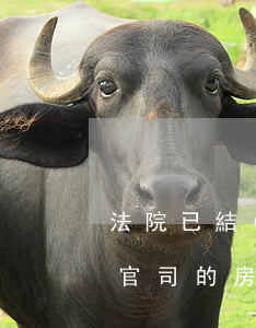 法院已結(jié)案我可以買房子嗎(打過官司的房子能買嗎)