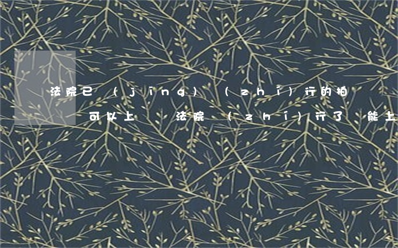 法院已經(jīng)執(zhí)行的拍賣還可以上訴嗎(法院執(zhí)行了還能上訴嗎)