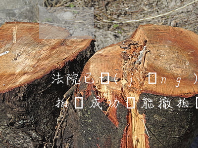 法院已經(jīng)拍賣了還可以撤回嗎(拍賣成功還能撤拍嗎)