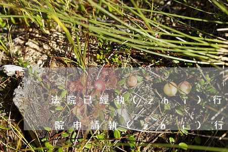 法院已經執(zhí)行了還可以撤訴嗎(法院申請執(zhí)行可以撤訴嗎)