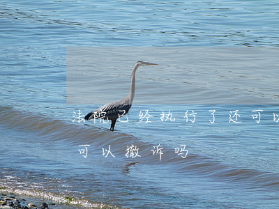 法院已经执行了还可以撤诉吗(法院申请执行可以撤诉吗)