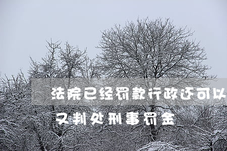 法院已经罚款行政还可以处罚吗(行政罚款后又判处刑事罚金)