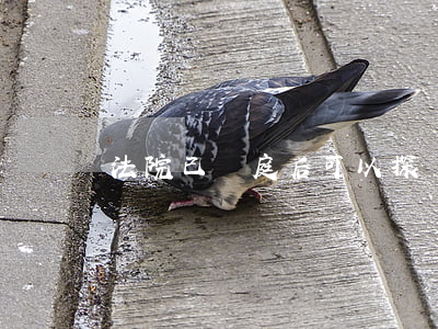 法院已開庭后可以探視嗎(一審判決后可以探視嗎)