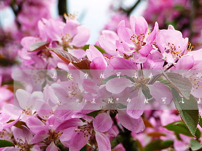 法院布控可以去醫(yī)院掛號(hào)嗎(法院布控可以去醫(yī)院掛號(hào)嗎)