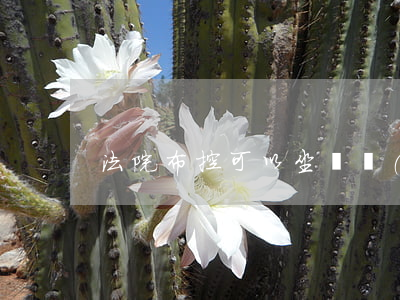 法院布控可以坐飛機(jī)嗎