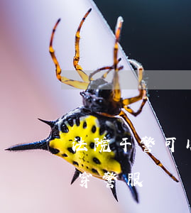 法院干警可以穿文化衫上班吗(司法局为什么穿警服)