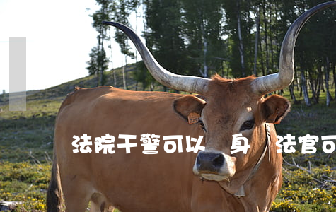法院干警可以紋身嗎(法官可以有紋身嗎)
