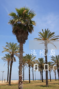 法院庭上可以拿證據(jù)嗎(法庭上什么證據(jù)為有效證據(jù))