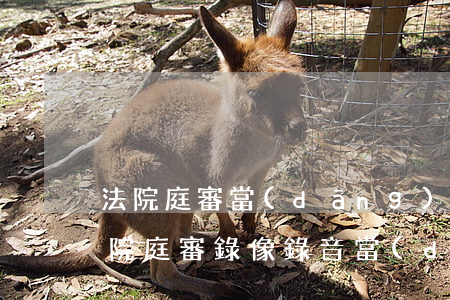 法院庭審當(dāng)事人可以錄音嗎(法院庭審錄像錄音當(dāng)事人可以調(diào)取嗎)