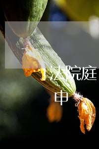 法院庭審錄像當事人可以調取嗎(當事人可以申請調取庭審錄音錄像嗎)