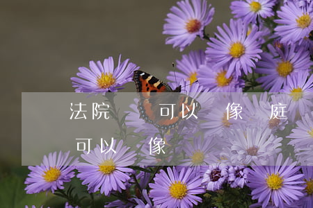 法院廳審可以錄像嗎(庭審現(xiàn)場可以錄像嗎)