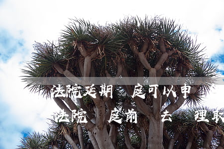 法院延期開庭可以申請(qǐng)取保嗎(法院開庭前讓去辦理取保)
