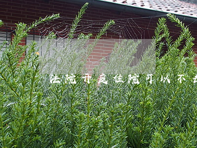 法院开庭住院可以不去吗(开庭能不去吗)