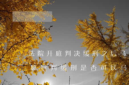法院开庭判决缓刑之后马上可以放人了吗(当庭宣判缓刑是否可以马上放人)