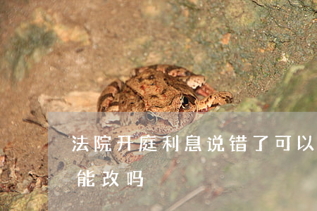 法院开庭利息说错了可以改吗(法庭上说错话能改吗)