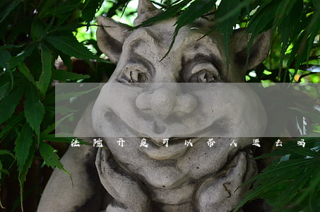 法院开庭可以带人进去吗(开庭能带家属去吗?)
