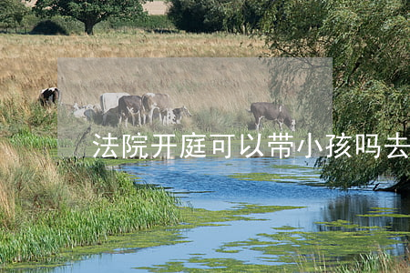 法院开庭可以带小孩吗(去法院可以带孩子吗)