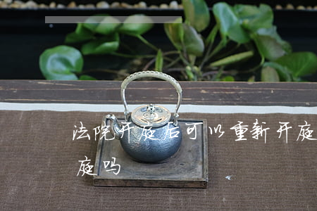 法院开庭后可以重新开庭吗(现在法院可以开庭吗)
