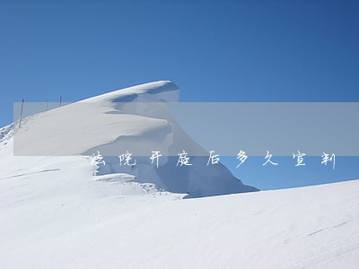 法院开庭后多久宣判