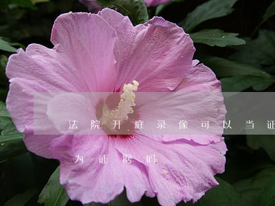 法院开庭录像可以当证据吗(法庭录音可以作为证据吗)