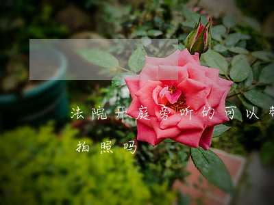 法院开庭旁听的可以带手机吗(法院旁听可以拍照吗)