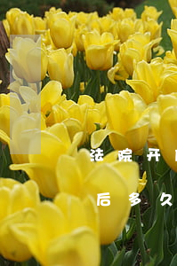 法院开庭时还可以申请财产保全吗(财产保全后多久必须开庭)