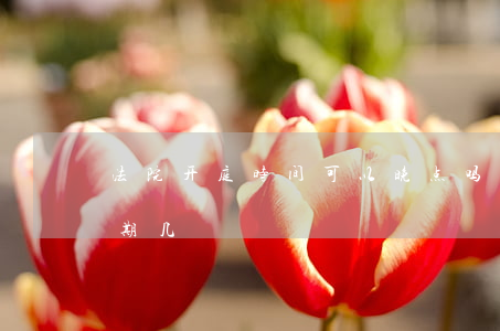 法院开庭时间可以晚点吗(法院开庭一般在星期几)