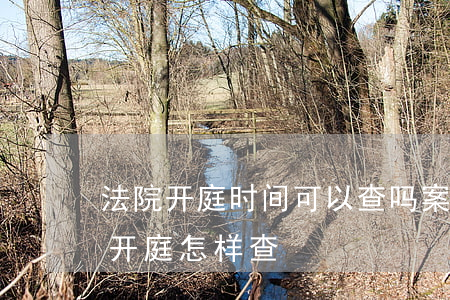 法院开庭时间可以查吗(案件在法院什么时候开庭怎样查)