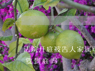 法院开庭被告人家属可以去吗(法院宣判家属要到庭吗)
