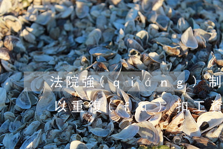 法院強(qiáng)制執(zhí)法可以重復(fù)扣工資嗎(法院強(qiáng)制執(zhí)行的工資可以在工資中扣除嗎)