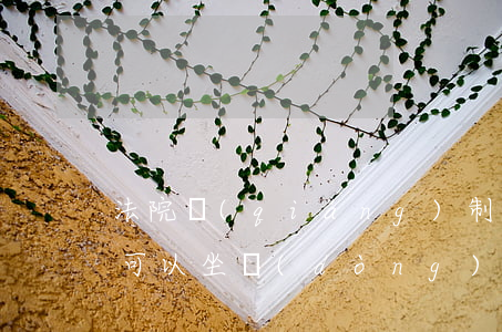 法院強(qiáng)制執(zhí)行了可以坐動(dòng)車(chē)嗎(被強(qiáng)制執(zhí)行人可以坐動(dòng)車(chē)嗎)