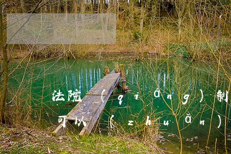 法院強(qiáng)制執(zhí)行前可以轉(zhuǎn)移財(cái)產(chǎn)嗎(申請(qǐng)強(qiáng)制執(zhí)行后被執(zhí)行人轉(zhuǎn)移財(cái)產(chǎn)怎么辦)