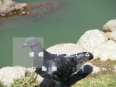 法院強(qiáng)制執(zhí)行可以取消嗎(執(zhí)行人可以申請(qǐng)取消強(qiáng)制執(zhí)行嗎?)