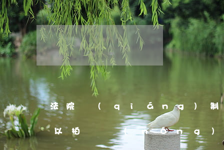 法院強(qiáng)制執(zhí)行可以拍賣農(nóng)村房屋嗎(農(nóng)村的自建房法院能查封拍賣嗎?)