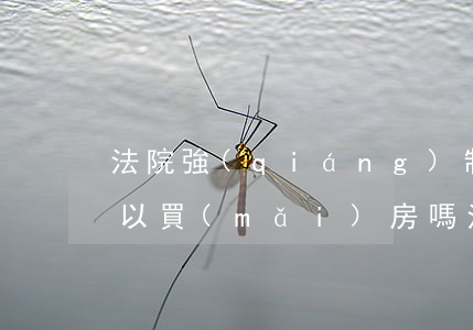 法院強(qiáng)制執(zhí)行可以買(mǎi)房嗎(法院強(qiáng)制執(zhí)行可以買(mǎi)房嗎)