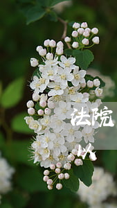 法院強(qiáng)制執(zhí)行可以買飛機(jī)票嗎(法院解除執(zhí)行多久可以買飛機(jī)票)