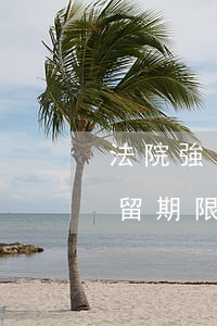 法院強(qiáng)制執(zhí)行拘留期限是多久