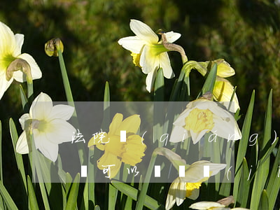 法院強(qiáng)制執(zhí)行期間可以買飛機(jī)票嗎(被法院執(zhí)行飛機(jī)可以坐嗎)