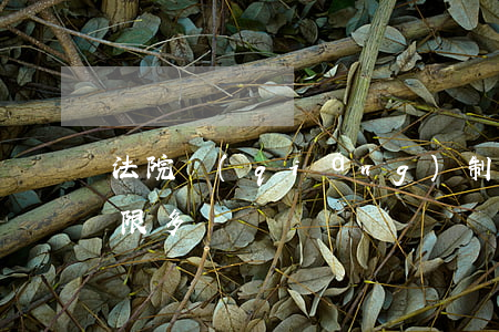 法院強(qiáng)制執(zhí)行期限多長