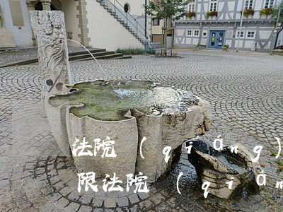 法院強(qiáng)制執(zhí)行期限(法院強(qiáng)制執(zhí)行期限規(guī)定)