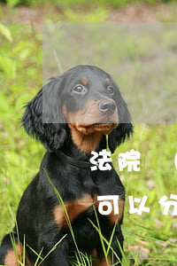 法院強(qiáng)制執(zhí)行款可以分期嗎(法院強(qiáng)制執(zhí)行可以分期付款么)