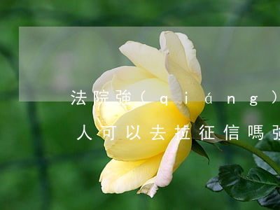法院強(qiáng)制執(zhí)行的人可以去拉征信嗎(強(qiáng)制執(zhí)行上征信嗎)