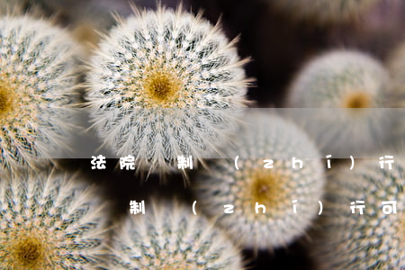 法院強制執(zhí)行可以坐飛機嗎(法院強制執(zhí)行可以坐飛機嗎)
