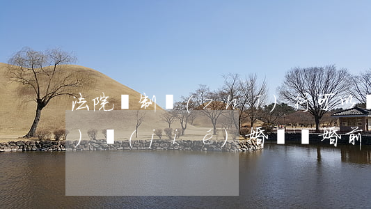 法院強制執(zhí)行可以領(lǐng)結(jié)婚證嗎(婚前財產(chǎn)法院可以強制執(zhí)行嗎)