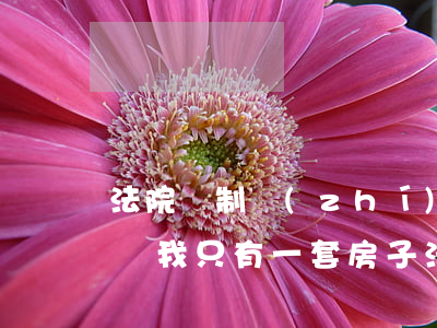法院強制執(zhí)行拍賣的房子可以買嗎(我只有一套房子法院可以強制執(zhí)行拍賣嗎)
